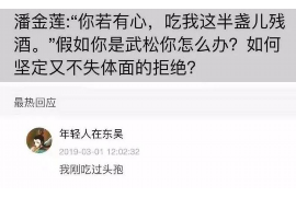 临安临安的要账公司在催收过程中的策略和技巧有哪些？